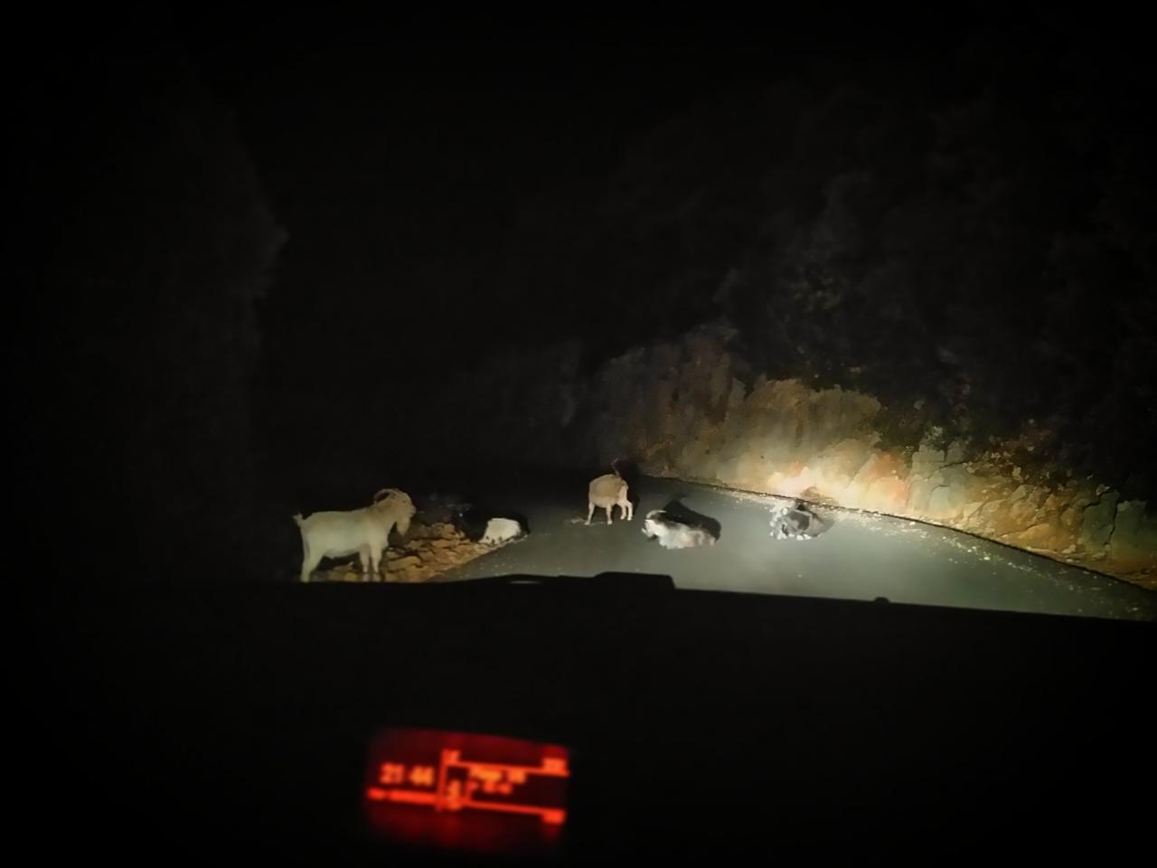 Rencontre sur la route