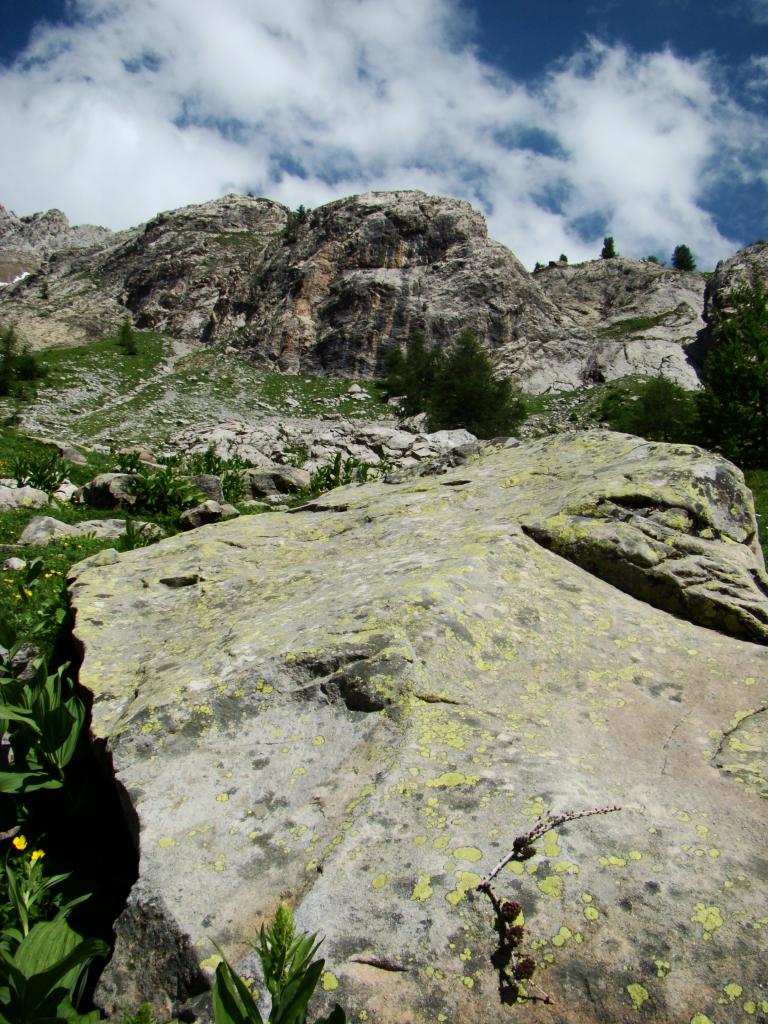 parc du mercantour