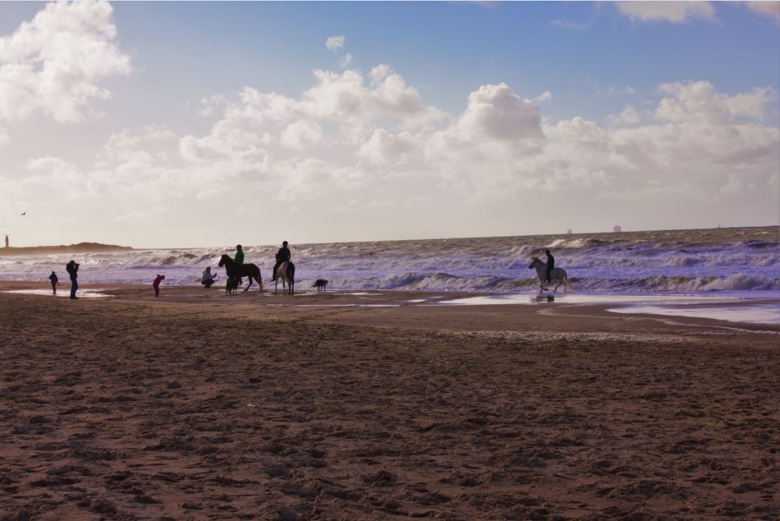 Cavaliers au bord de l'eau