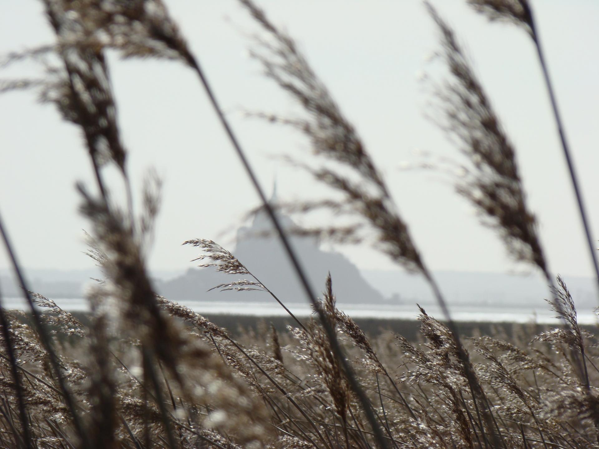 Mont St Michel